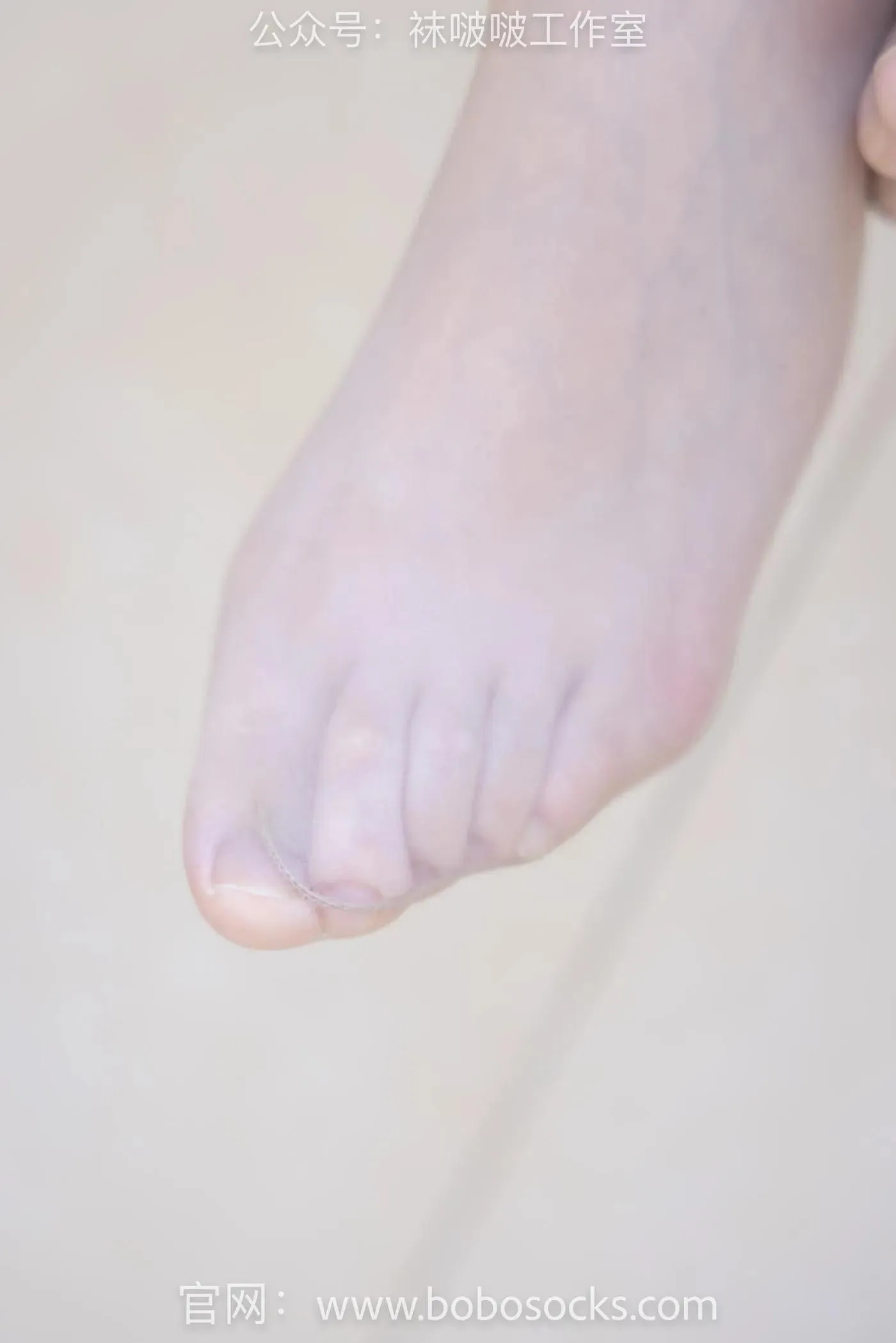 [BoBoSocks袜啵啵]NO.111 小甜豆-高跟鞋、油亮肉丝 [133P]插图1